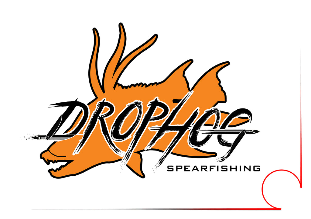 https://www.sa-sports.com/cdn/shop/collections/Drophog_Logo_Orange_PNG_1024x1024.jpg?v=1647544098